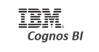 IBM Cognos BI